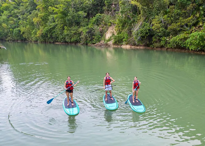 Water To Forest Ecolodge