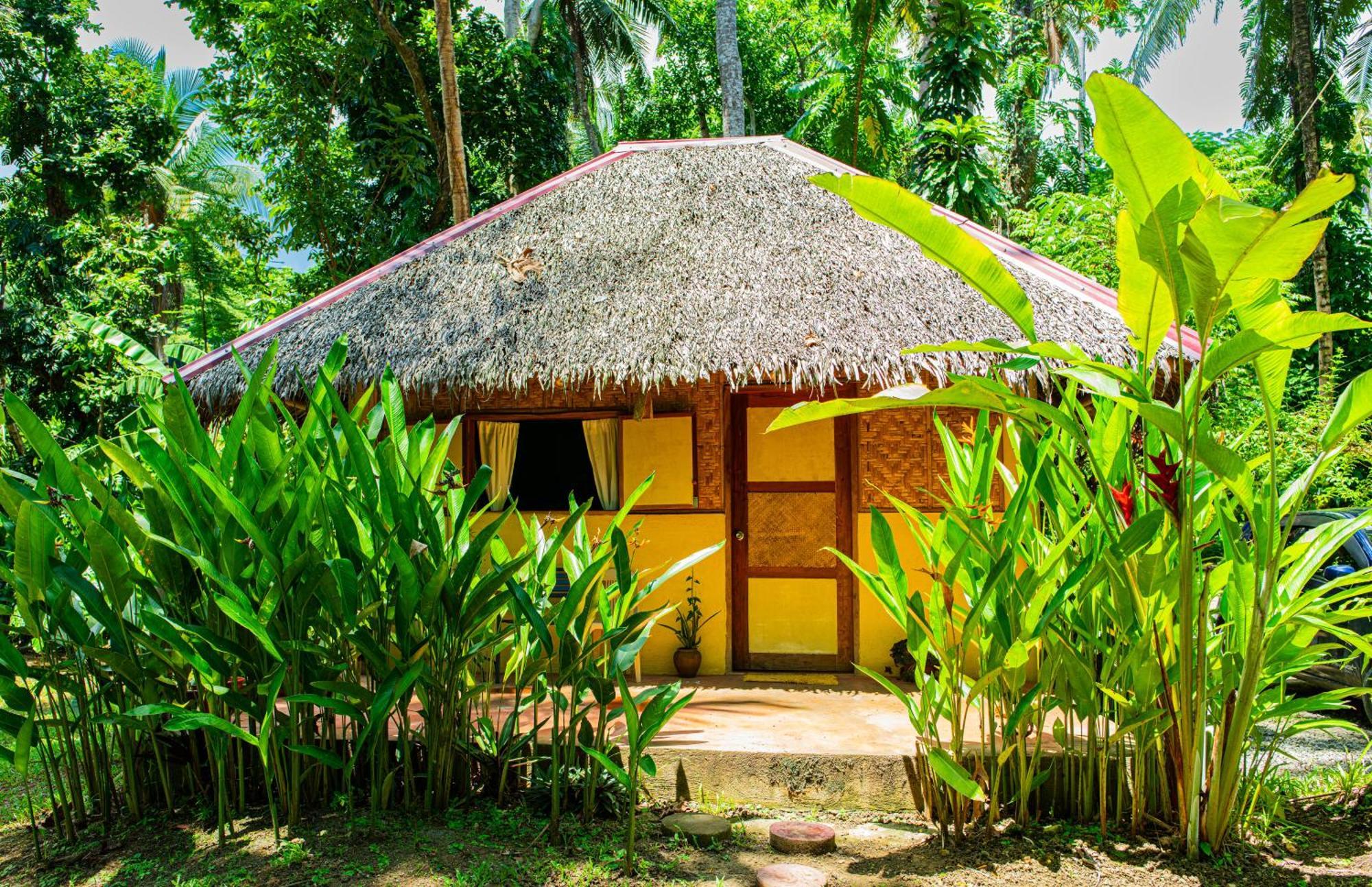 Bed & Breakfast Water To Forest