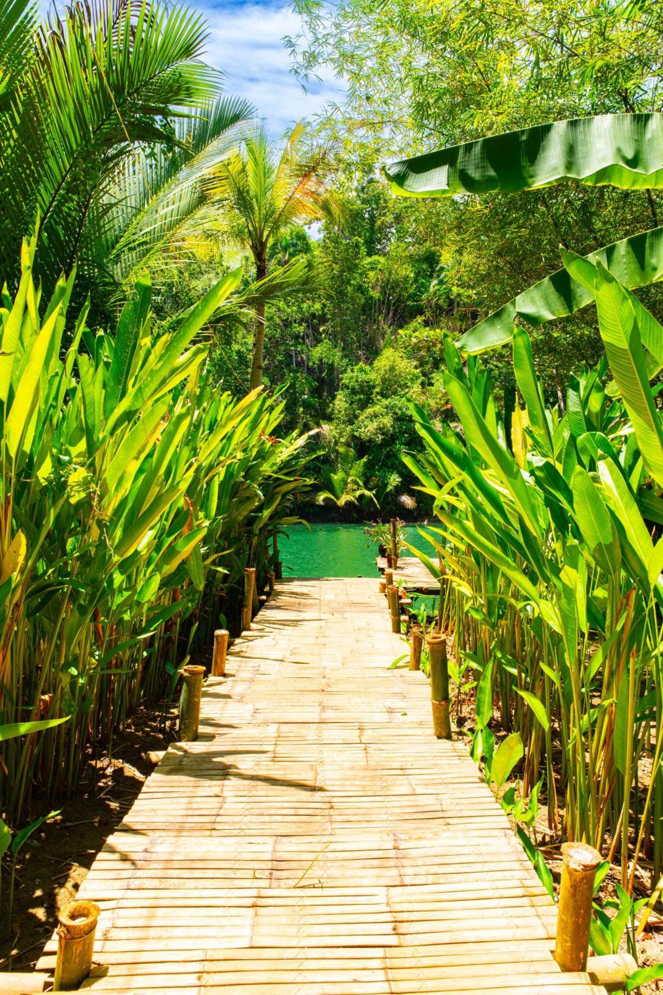 Bed & Breakfast Water To Forest Loboc