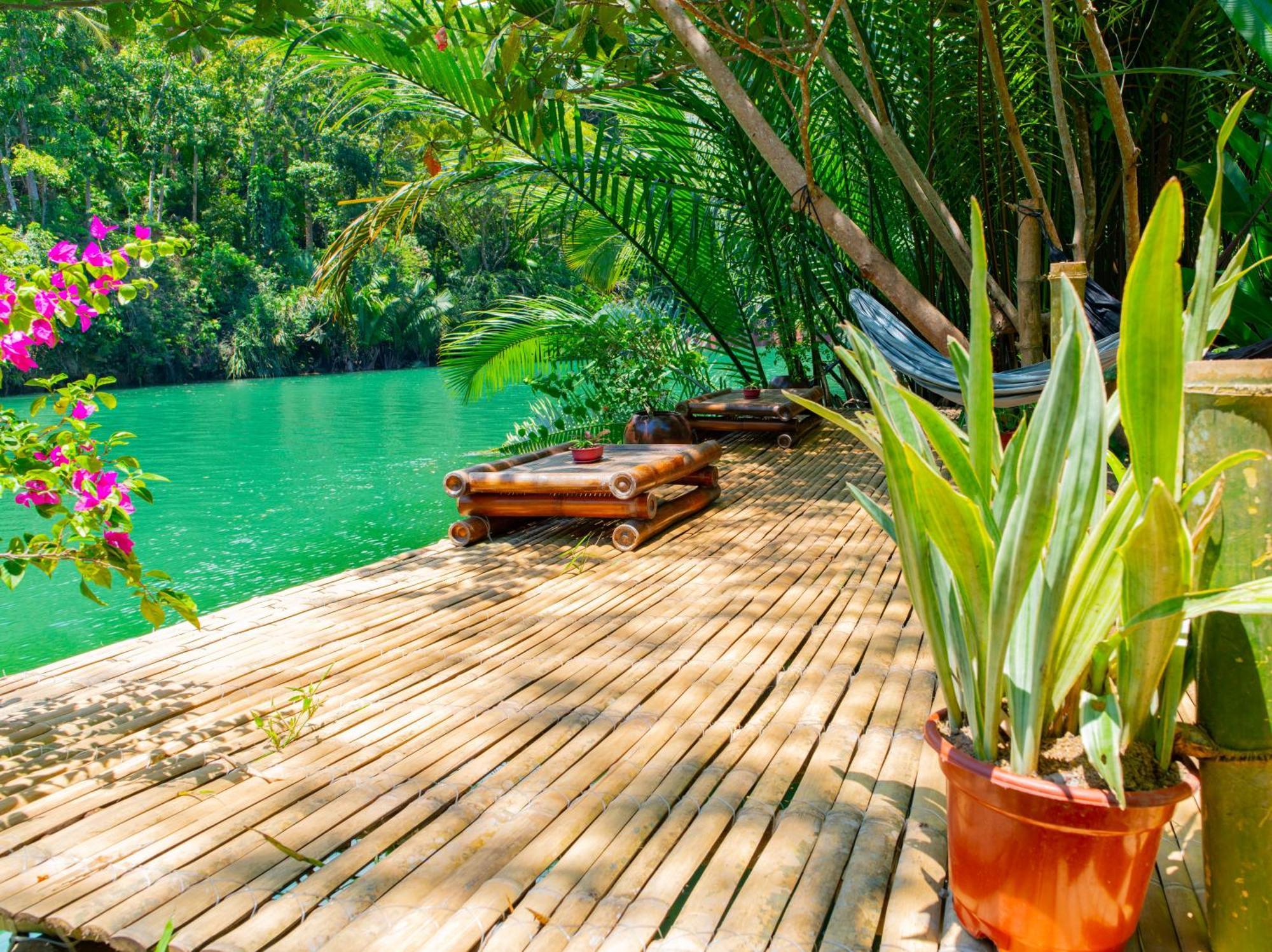 Water To Forest Loboc