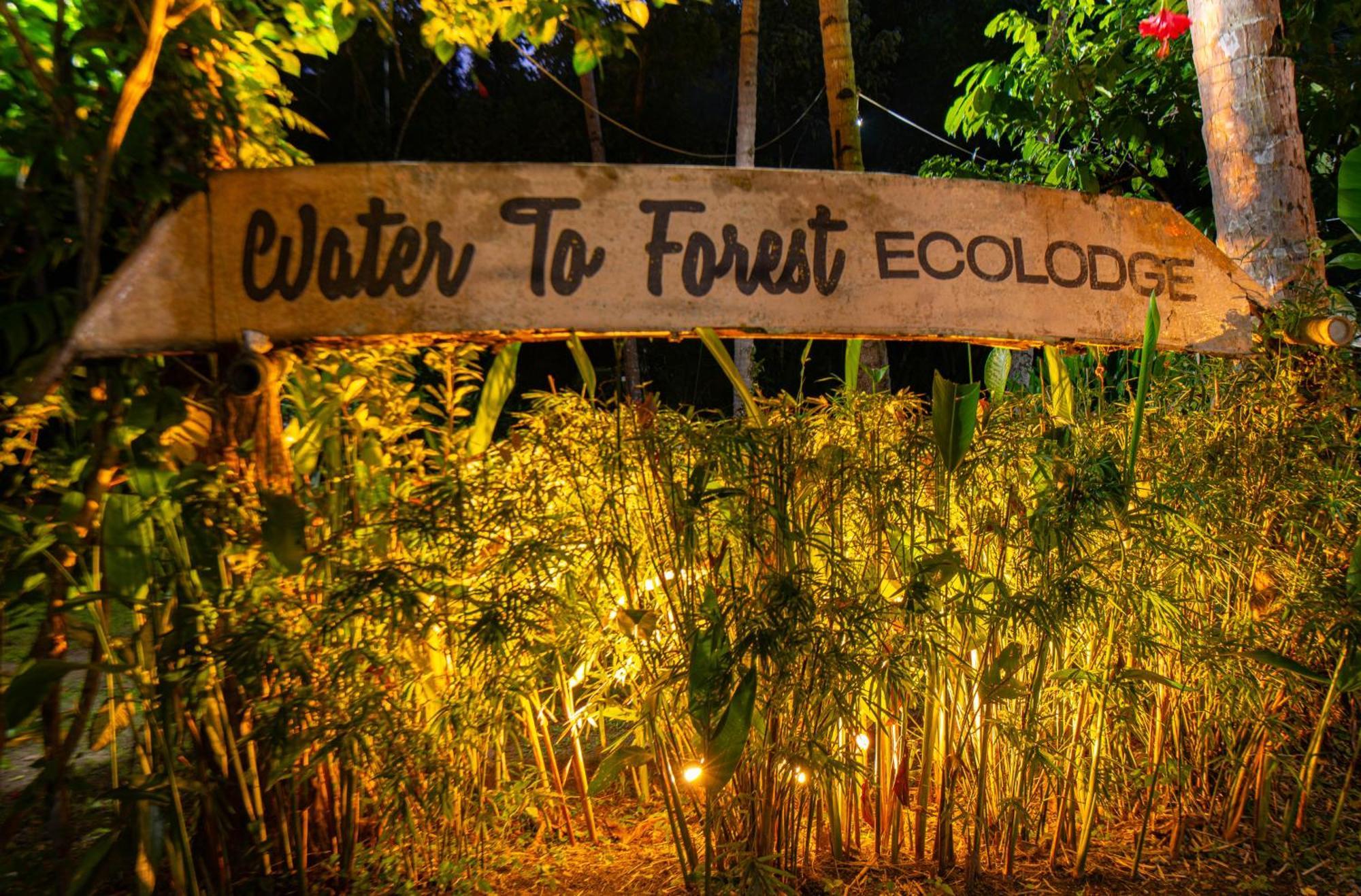 Water To Forest Loboc