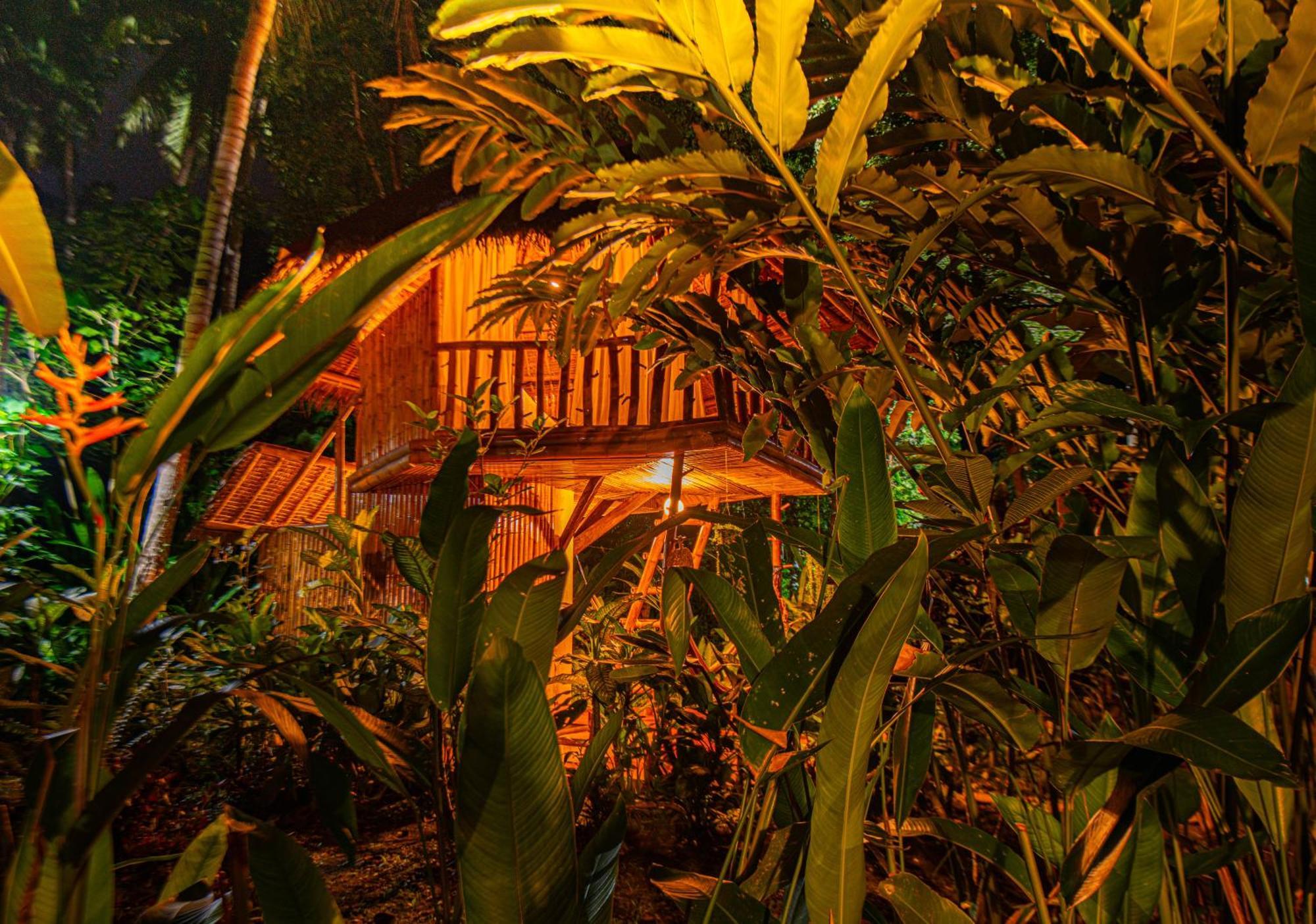Bed & Breakfast Water To Forest *