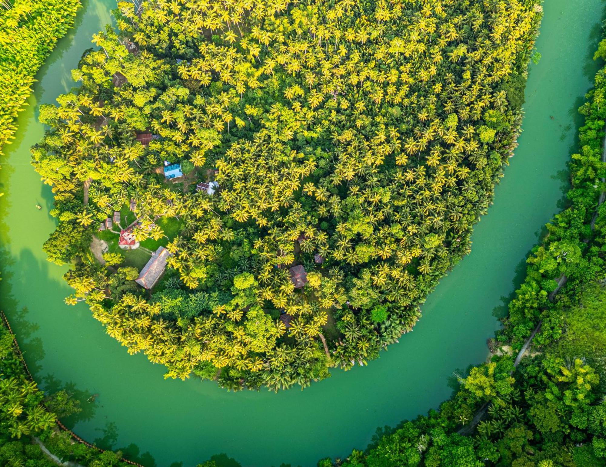 Bed & Breakfast Water To Forest Loboc