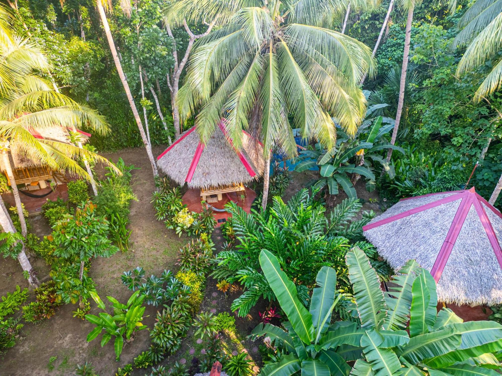 Bed & Breakfast Water To Forest *