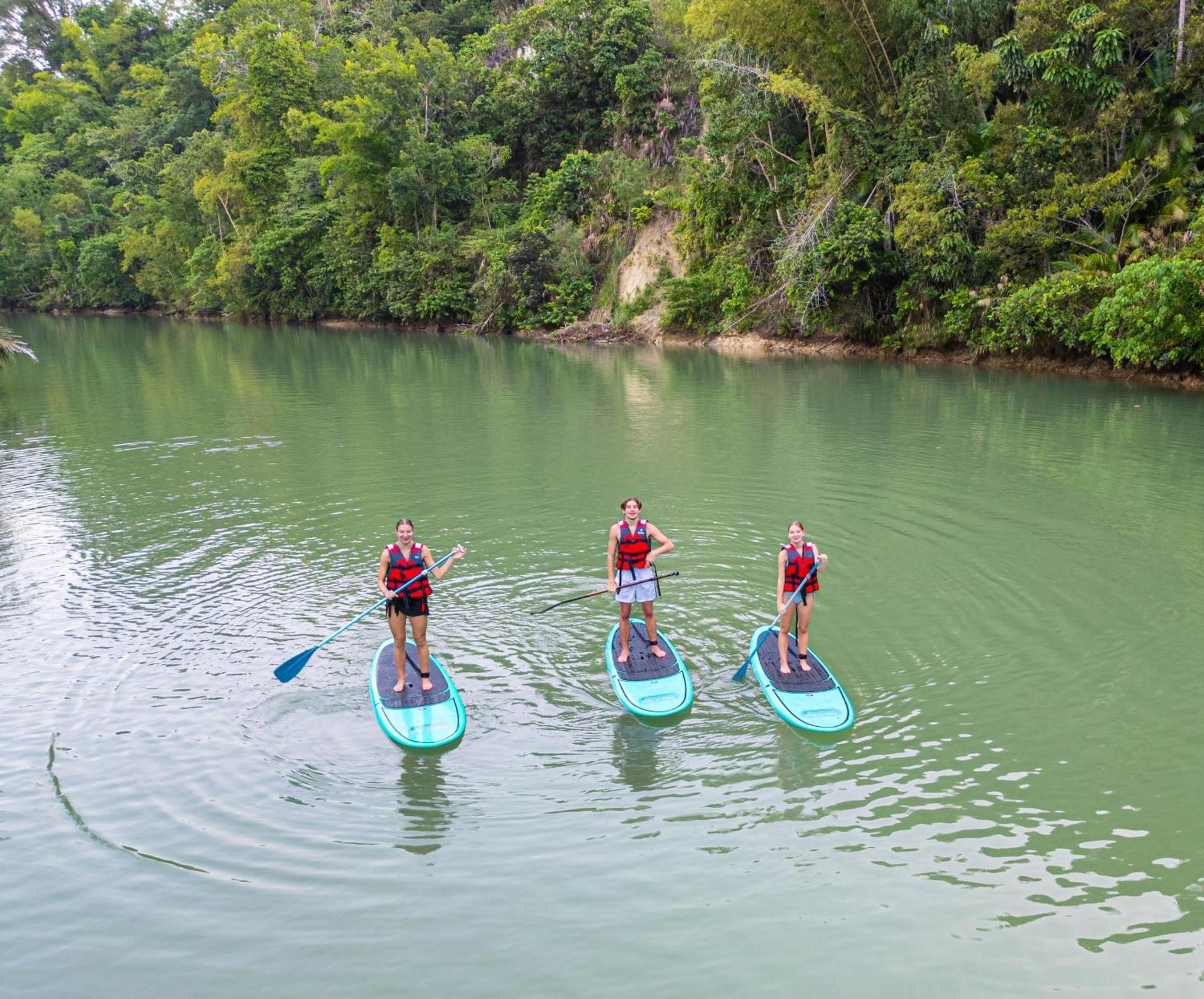 Water To Forest * Loboc