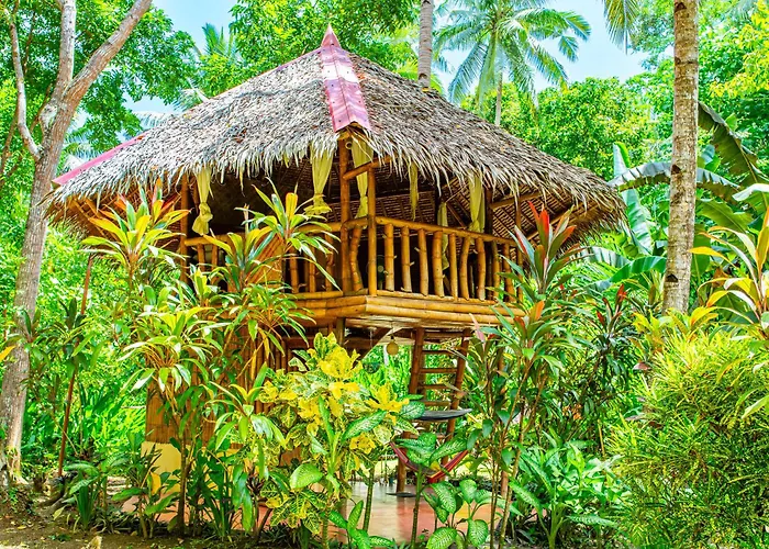 Water To Forest Ecolodge